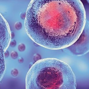 What are 5 advantages of using stem cells