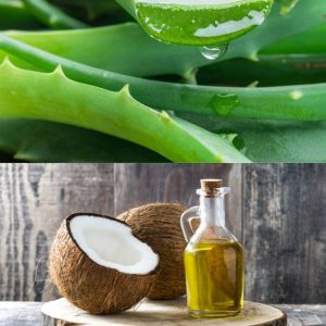 Which is Better for Hair, Aloe Vera or Coconut Oil?