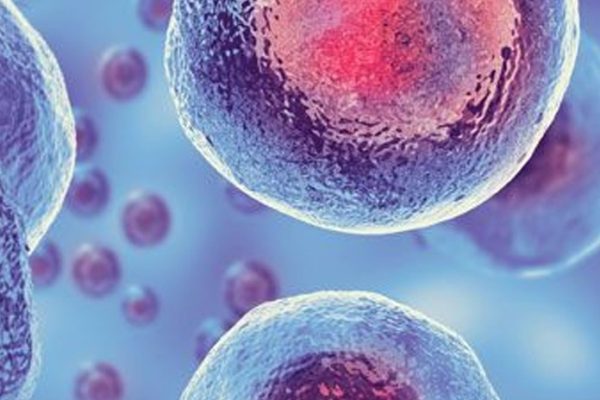 What are 5 advantages of using stem cells
